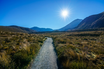 tongariro alpine crossing,sunstar,cone volcano mt ngauruhoe,new zealand 7