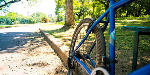 bike and road