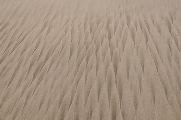 strong wind pattern in the sand