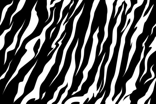 stripe animals jungle tiger zebra fur texture pattern seamless repeating white black