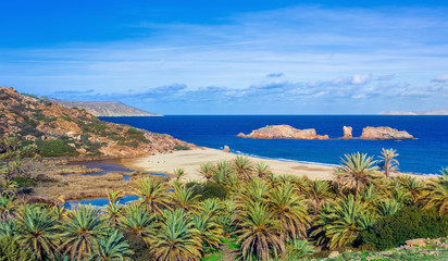 Scenic landscape of palm trees, turquoise water and tropical beach, Vai, Crete, Greece.