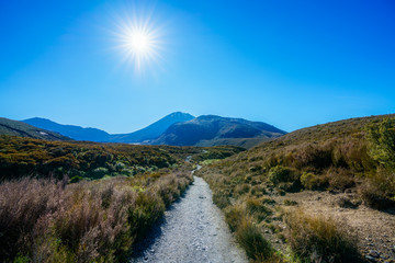 hiking tongariro alpine crossing,volcano mt ngauruhoe,new zealand 20