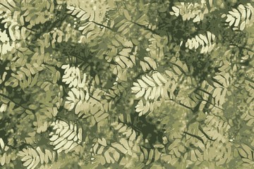 Obraz premium Beautiful leaf background, charm trees in the sunlight