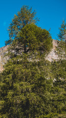 Obraz premium Smartphone HD wallpaper of beautiful alpine view at the Achensee - Maurach - Tyrol - Austria