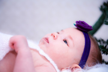 Concept newborn photos