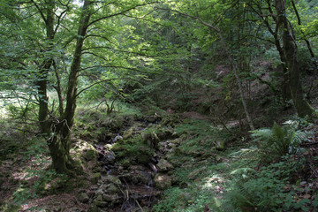 Obraz premium Marvels national park