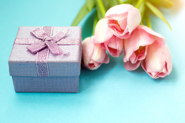 Pink tulips on the blue background with gift box. Flat lay, top view. Valentines background