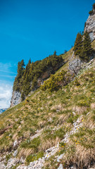 Smartphone HD wallpaper of beautiful alpine view at the Achensee - Maurach - Tyrol - Austria