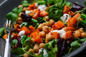 Healthy Vegetarian Salad, Roasted Pumpkin and Chickpea Salad in a Bowl