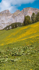 Smartphone HD wallpaper of beautiful alpine view at the Achensee - Maurach - Tyrol - Austria