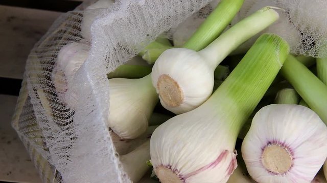 fresh young spring garlic