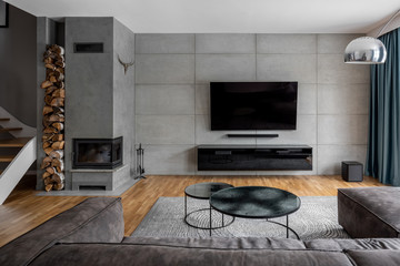 Tv room with cement wall