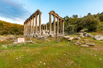 Soke, Milas - Turkey. January 13, 2019. Zeus Lepsynos Temple in Euromos.