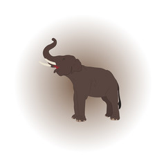 Elephant vector illustration