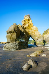 on the beach, 3 sisters and elephant rock, new zealand 54
