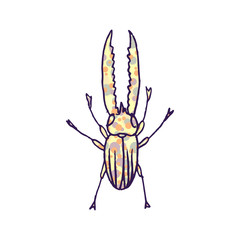 stag beetle vector doodle sketch isolated on white background