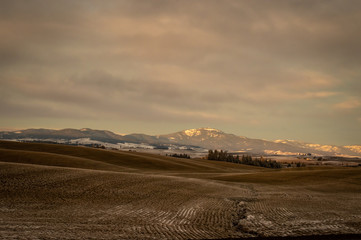 Winter farm scene Eastern Washington