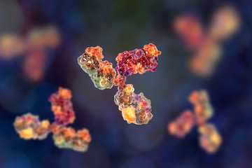 Molecular model of antibody taking part in immune defense. Molecule of immunoglobulin, 3D illustration - obrazy, fototapety, plakaty