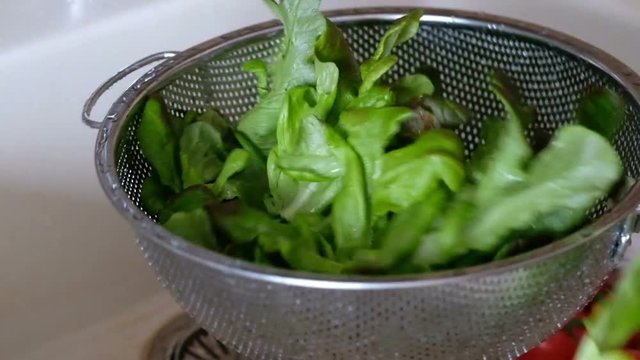 Fresh green salad in a colander