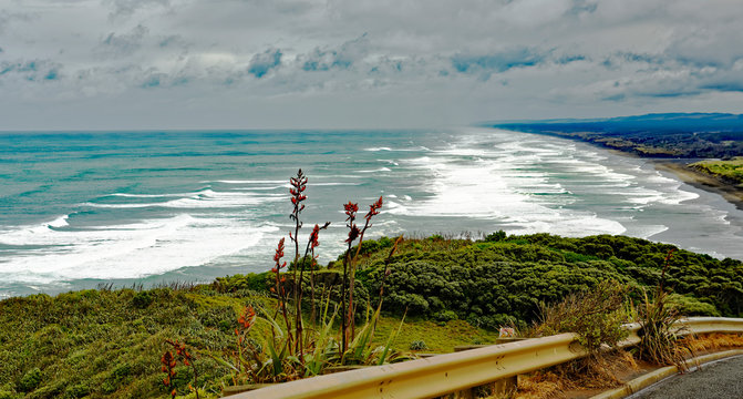 View of the Muriwai black sand beach on the west coast of the North Island of New Zealand