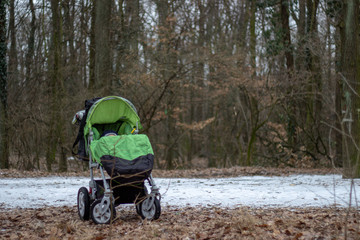 Fototapeta na wymiar stroller in the forest