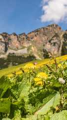 Smartphone HD wallpaper of beautiful alpine view at the Achensee - Maurach - Tyrol - Austria