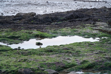Roche et mer
