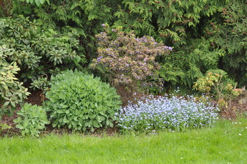 garden