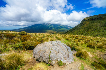 Fototapeta premium Hiking the mangorei track,mount egmont national park,new zealand 6