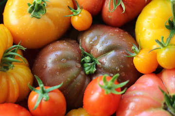 Fototapeta na wymiar tomatoes with water drops