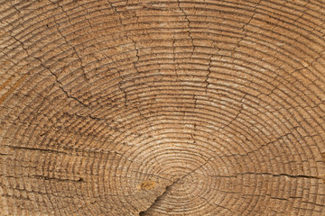 Very Old Wood Background, closeup. wood texture . old and very aged wood texture close up. backgrounds, texture is very old wood in the process of prolonged natural decomposition and weathering. 