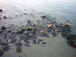 meer