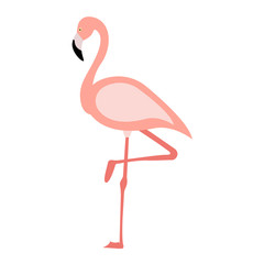Flamingo in flat.style. Vector illustration isolated on white