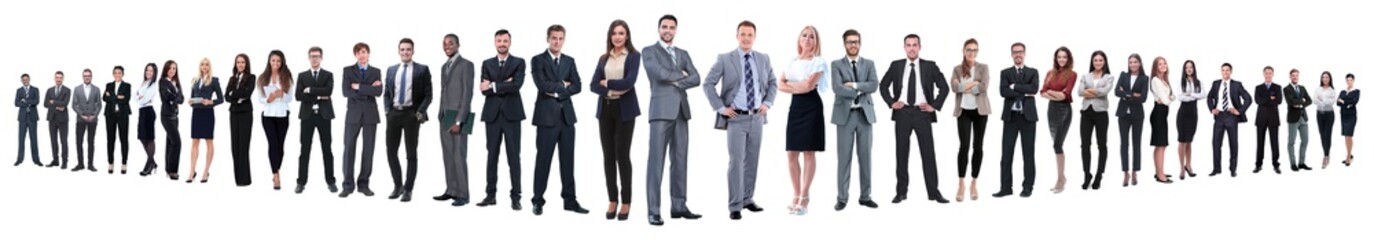 panoramic photo of a group of confident business people.