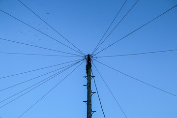 A single pole with many cables around connected into one knot against the sky. The cables are...