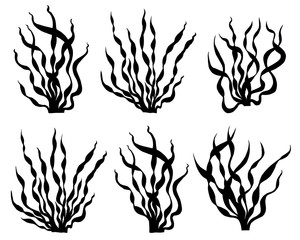 Set of Seaweed, kelp,coral in the ocean, watercolor hand painted black and white or silhouette seaweed element isolated on white background. Watercolor illustration design. With clipping path. © nongnuch_l