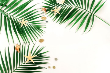 tropical green palm branches pattern frame and seasheels on a white background. top view.copy space.abstract.