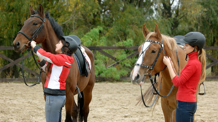 Two girls preparing horses for ride at ranch. Young women riders putting on bridles before horseback ride. People, hippotherapy, leisure and wellness concept.