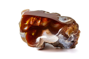 Macro mineral stone fiery Agate on a white background