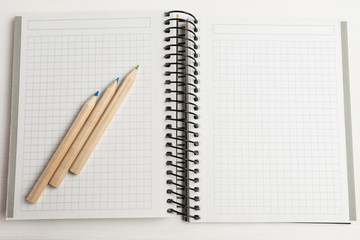 Open lined notebook with 3 coloured pencils on a white wood background