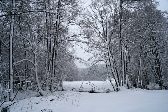 Winter landscape pictures with a lot of snow in cloudy weather in Germany Bavaria included 