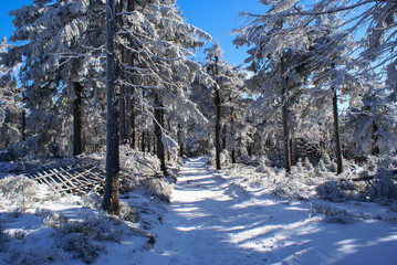 Przełęcz Jugowska- Wielka Sowa na turystycznym szlaku zimą. Góry Sowie, dolnośląskie, Polska , Europa