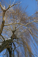 Winter landscape pictures with a lot of snow in cloudy weather in Germany Bavaria included 