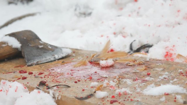 Ax in the blood on the board and in the snow.