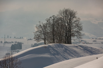 Obraz premium Deeply snow-covered landscape in Switzerland