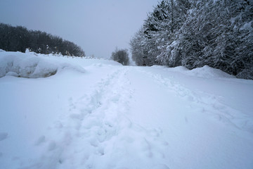 Winter landscape pictures with a lot of snow in cloudy weather in Germany Bavaria included 