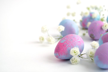 Easter color painted eggs on a white background.