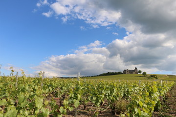 Fototapeta na wymiar Viticulture in Champagne. Green vineyards during spring. Growing vines in France. Fresh, young grapes. Beautiful, scenic hills. Visible Romanesque church. French, country landscape. Bucolic atmosphere