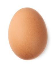 Single brown chicken egg