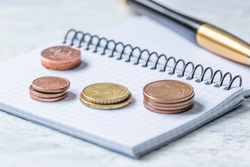 Business, finance or investment concept. Coins, checkbook or notebook and fountain pen. White wooden background.